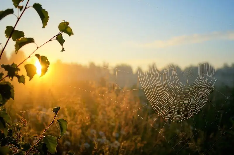 Ауа-райы жауын-шашынсыз болады