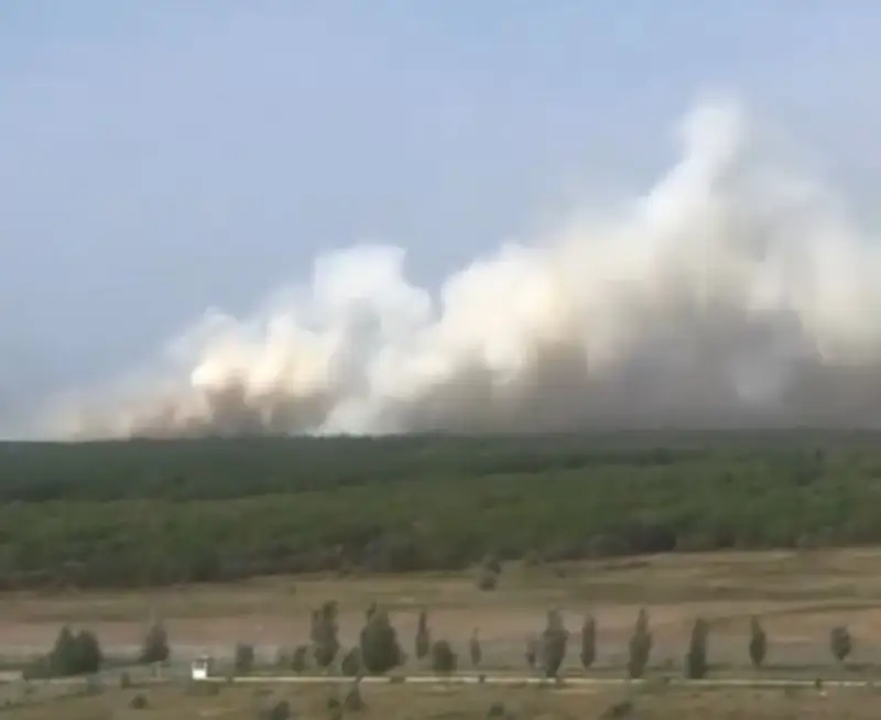 Астананың шетінде құрғақ шөп өртеніп жатыр (видео)