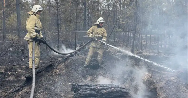 ТЖМ Абай облысындағы жағдайды айтты