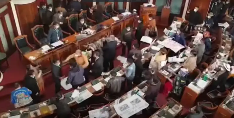 Парламент депутаттары жаппай төбелесті