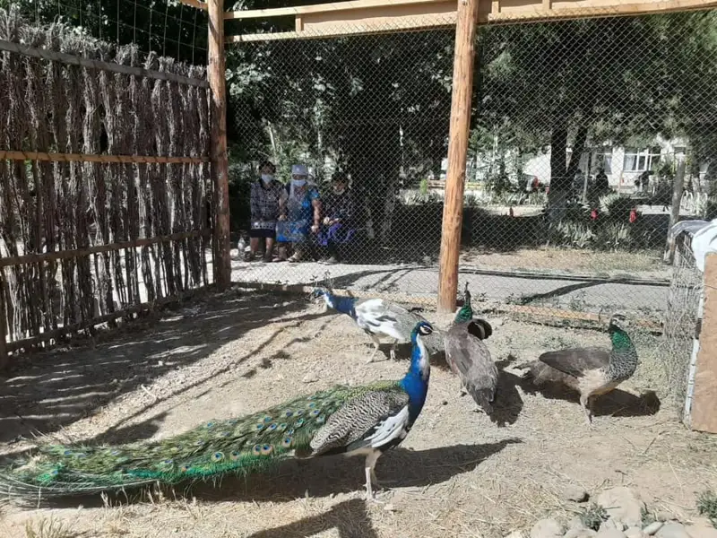 Әлеуметтік бейімдеу орталығында «Хайуанаттар бағы» бұрышы ашылды