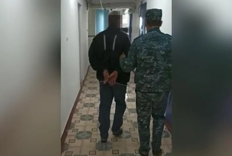 Ақмола облысында 12 жастағы қызды зорлаған күдіктіні ұстады (видео)