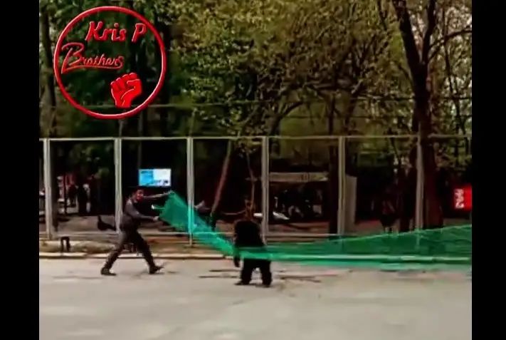 Алматы зообағынан шимпанзе қашып кетті