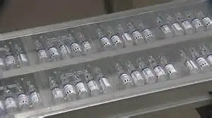 Ресейде жаппай екпе салынбақ