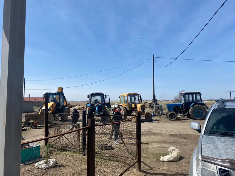 «Қарапайым заттар экономикасы»: Отандық сүт өнімдері нарықты жаулай бастады 