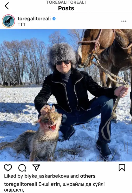 Полиция Төреғали Төреәлінің аңшылықта түскен суретін тексеріп жатыр 