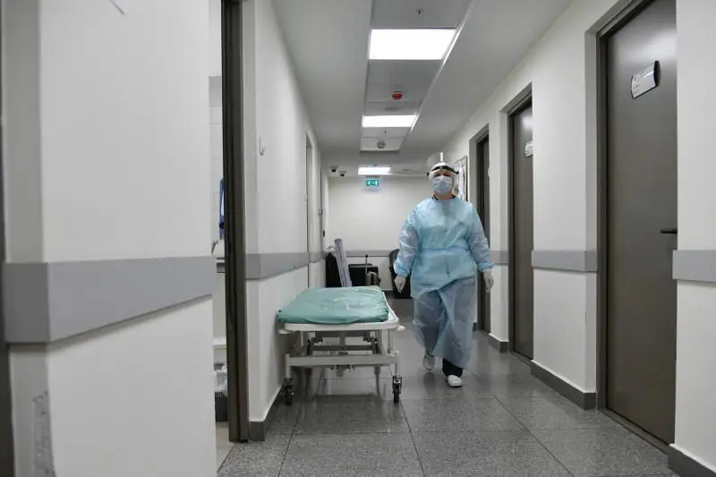 Өлімге әкелетін зең инфекциясын жұқтырғандар көбейді
