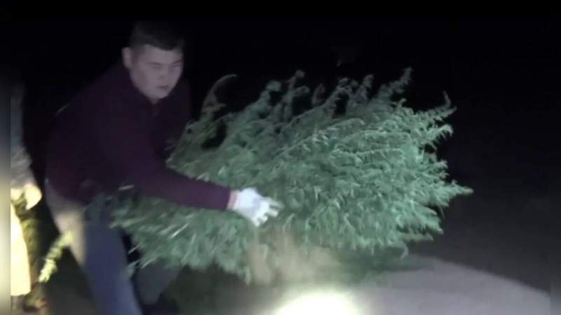 Жамбыл облысының тұрғынынан 300 келіден астам жабайы қарасора тәркіленді
