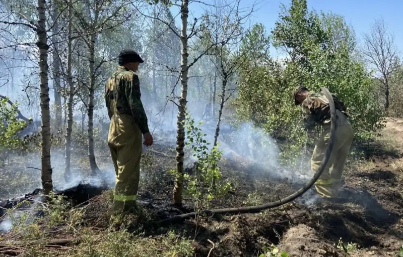 Жедел штаб: Абай облысында өрт сөндіру жұмыстары жалғасып жатыр