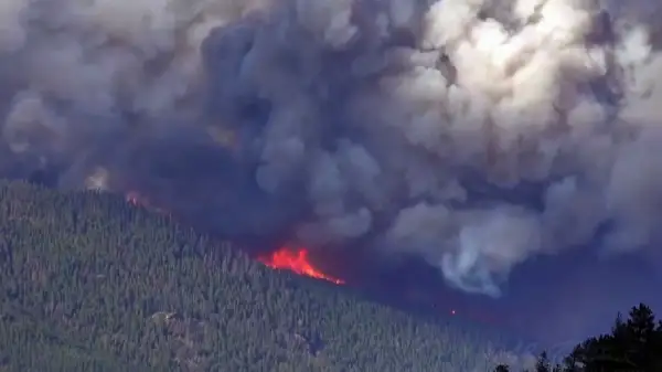 Колорадо штатында екі айдан бері орман өртеніп жатыр