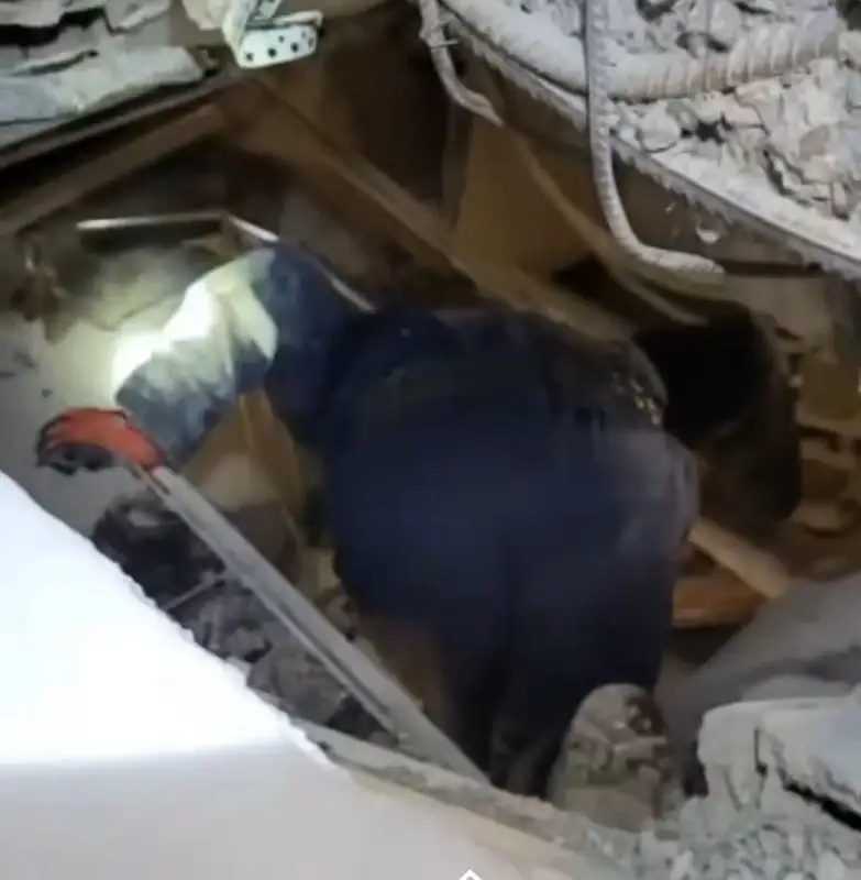 Қазақстандық құтқарушылардың үйінділер арасынан зардап шеккендерді іздеген видеосы жарияланды