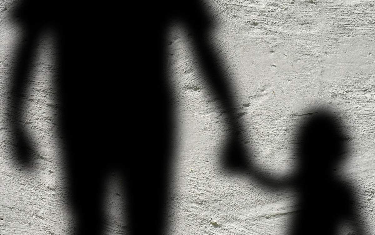 Павлодар облысының тұрғыны өз қызын зорлады деген күдікке ілінді