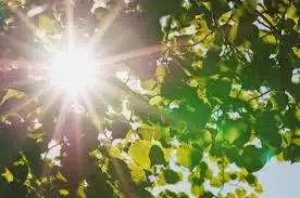 Бүгін ауа райы қандай?