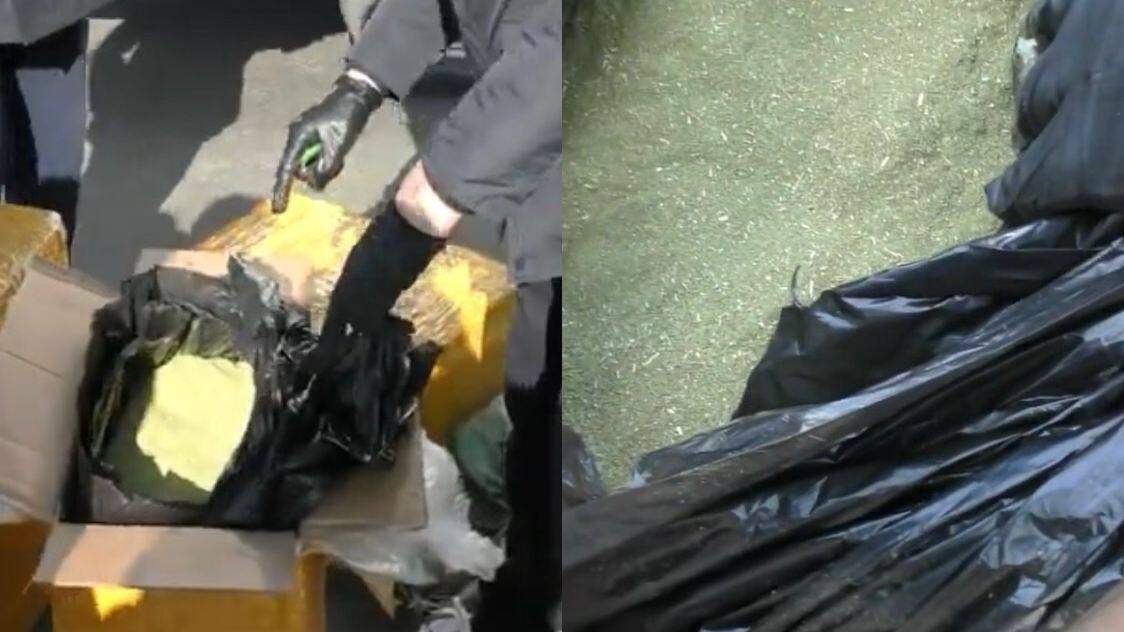 Жамбыл облысының екі тұрғынынан 151 келі гашиш тәркіленді 