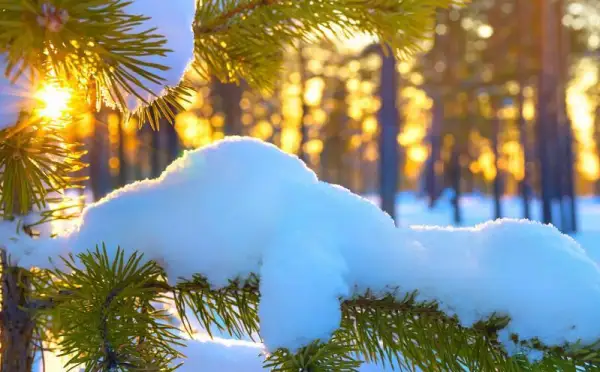 Елімізде аяз қашан сынады? 