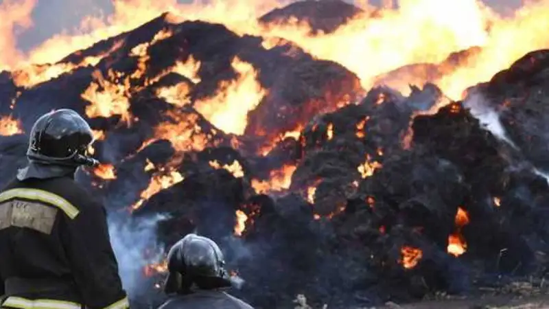 Қызылорда облысында 700-ге жуық қой өртеніп кетті