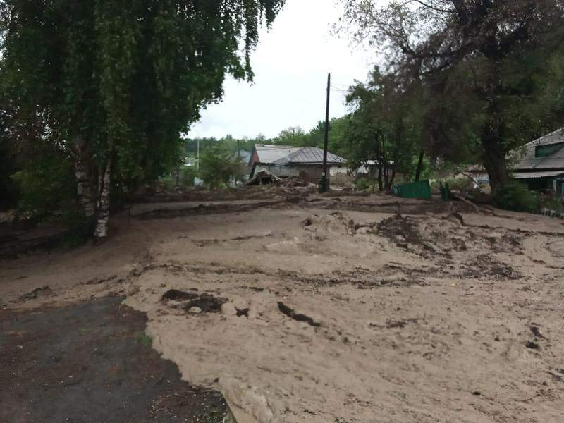 Текеліде батпақ көшкіні жүріп, 5 жасар бала жоғалып кетті