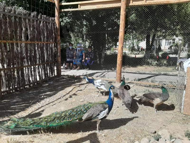 Әлеуметтік бейімдеу орталығында «Хайуанаттар бағы» бұрышы ашылды