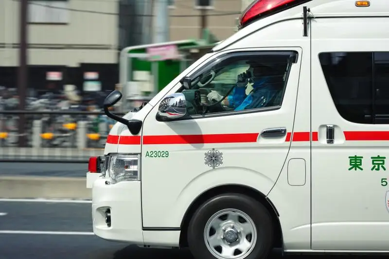 Жүк көлігі аударылып, 8 адам мерт болды 