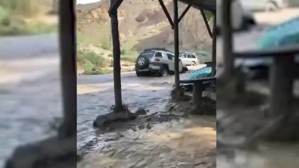 Шарын шатқалында туристер қиындыққа тап болды