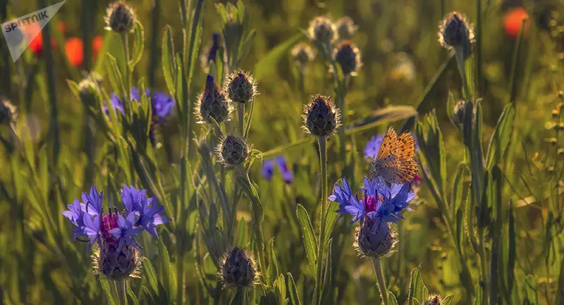 5 шілде күні ауа райы қандай болады? 