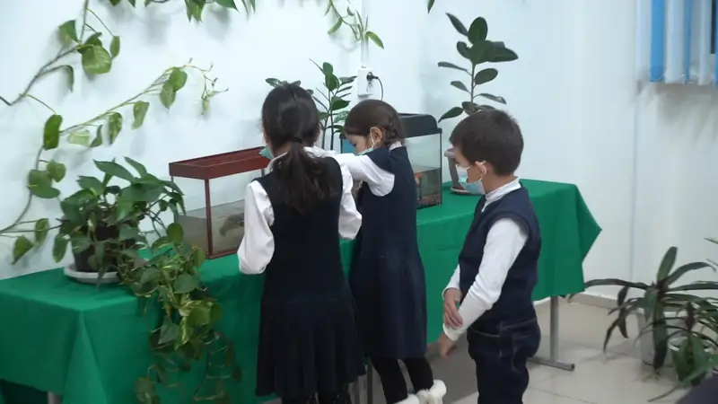 Атыраулық оқушылар мектепте ботаникалық бақ жасақтап, тоты құс өсіруде