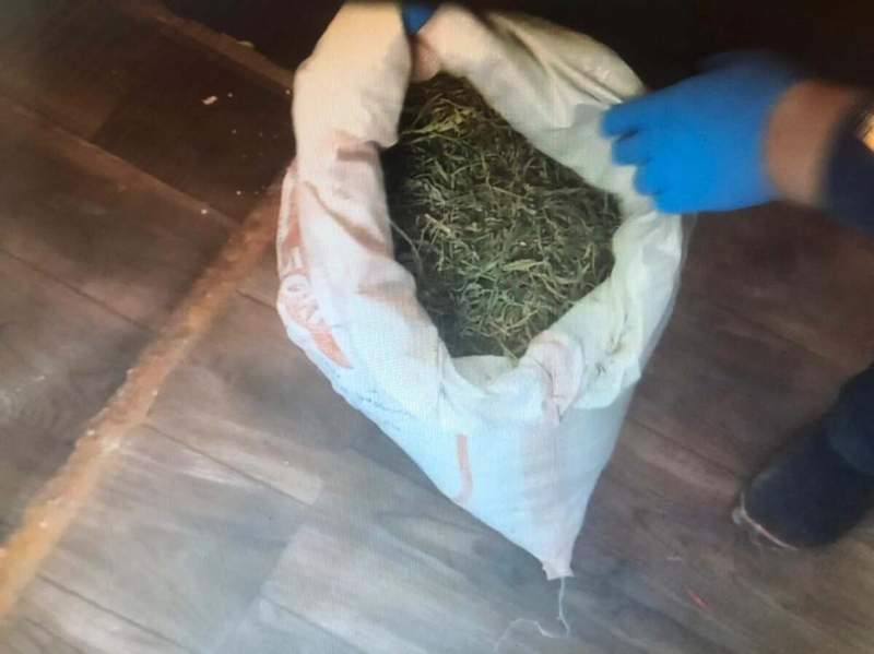 Түркістан облысында есірткі сатқан мұғалім сотталды