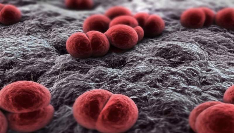 Көкшетауда әскери бөлімшенің 5 сарбазынан менингококк табылды