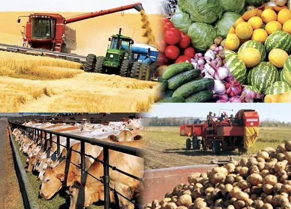 Агроөнеркәсіптік кешенді мемлекеттік қолдау жөніндегі жұмыс тобы құрылды