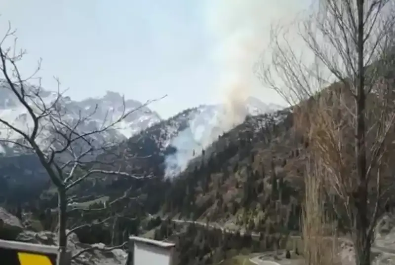 Алматыда Горельник сайы өртенді 