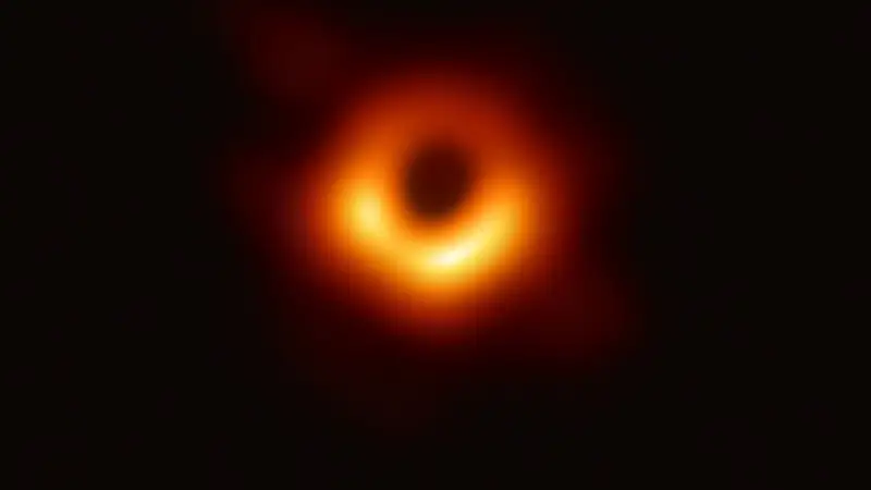 Жылдың ғылыми жаңалығы 