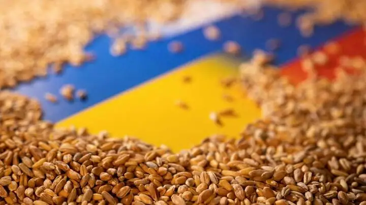 Украинада қазір 10 млрд долларға жуық астық қоры бар