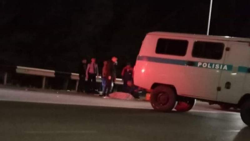 Алматы облысында әйелді екі баласымен бірге көлік қағып өлтірді
