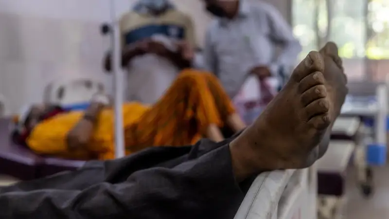 Иракта «қара зең» тарап жатыр