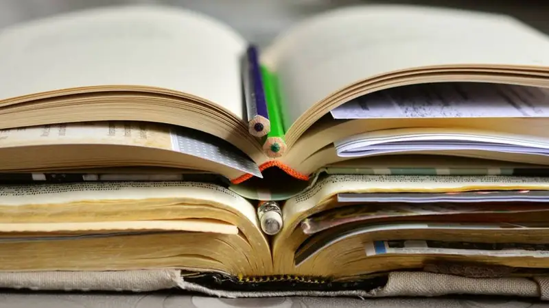 Докторант  диссертация жазбай-ақ ғылыми дәрежесін қорғай алады 