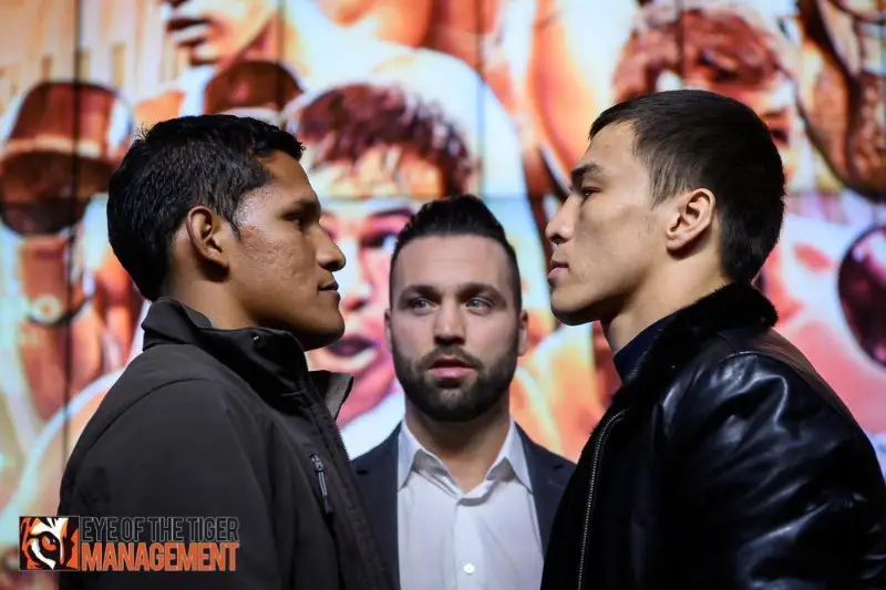 Батыр ертең рингке шығады