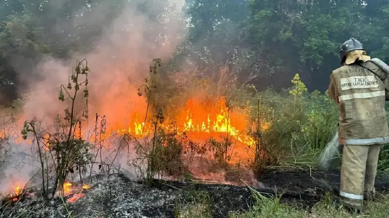 Абай облысындағы өрттен қаза тапқандардың тізімі жарияланды