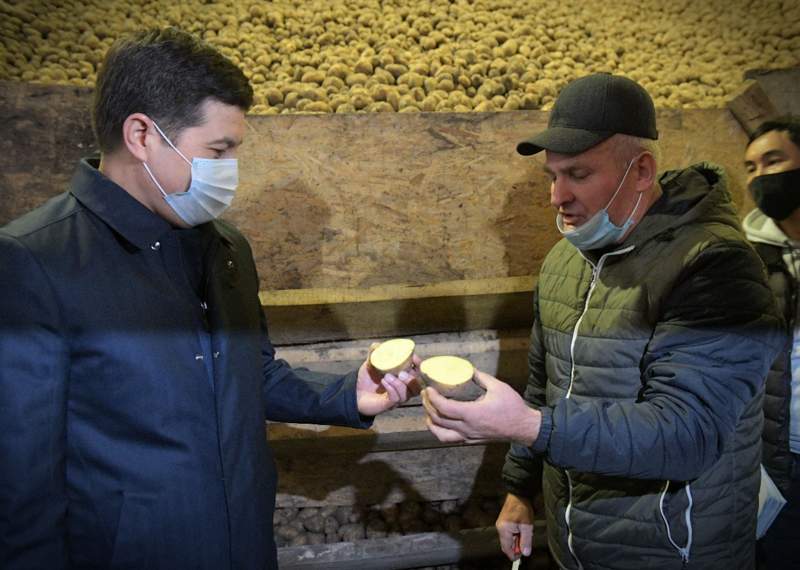 Павлодар облысында ауыл шаруашылығының өндірісі жылдам қарқынмен дамып келеді