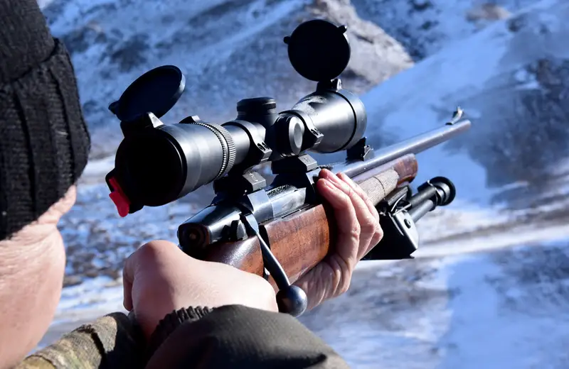 Биыл қанша қасқыр атуға болатыны анықталды