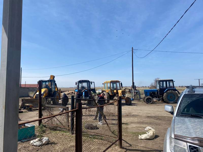 «Қарапайым заттар экономикасы»: Отандық сүт өнімдері нарықты жаулай бастады 