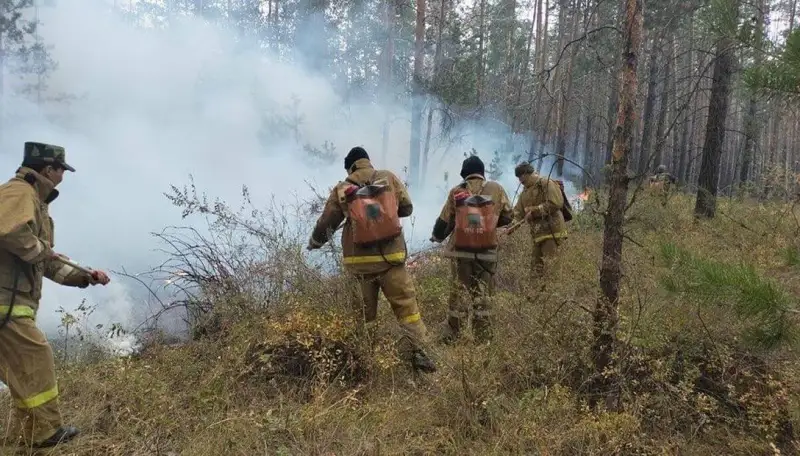 Төтенше жағдайлар министрі Әуликөл ауданындағы өрт сөндірілгенін хабарлады