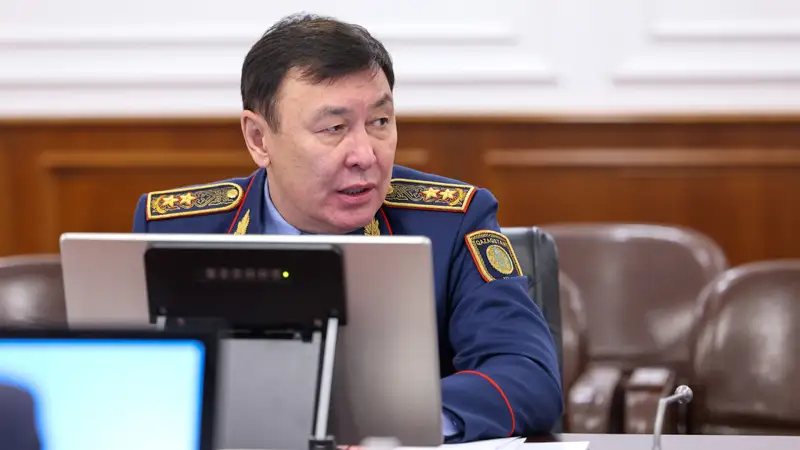 Ішкі істер вице-министрі Алматыдағы беделді мектепте зорлық көрген балаға қатысты пікір білдірді