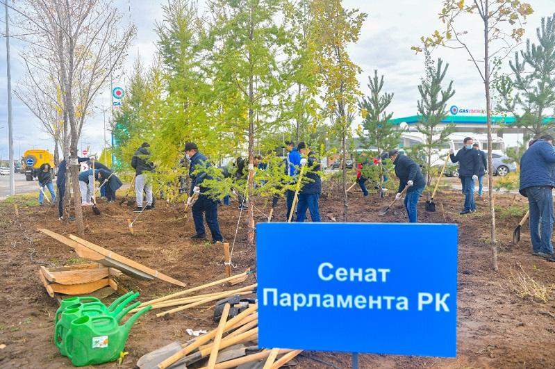 Сенаторлар сенбілікке қатысты
