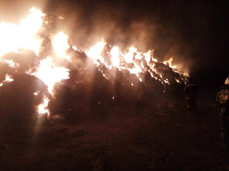ШҚО: 4200 тоннадан астам пішен жанып кетті