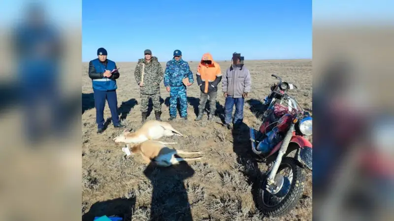 Ақтөбе облысында ақбөкен аулаған браконьерлер ұсталды