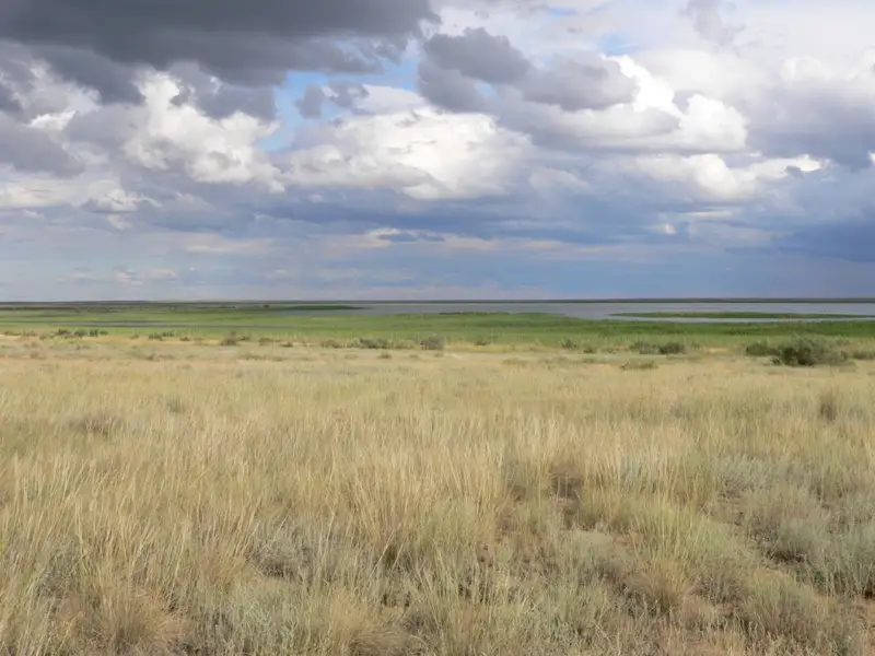 Даниал Ахметов, Болат Бақауов, Өмірзақ Шөкеевтің жерлері үшін депутаттар мен министрлер дауласып қалды