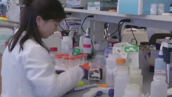 АҚШ-та COVID-19-ға қарсы вакцина сынақтан сәтті өтті