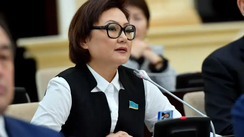 Сенатор Дана Нұржігіт еуропалық парламенттің қарары туралы: Бұл – асығыс шешім