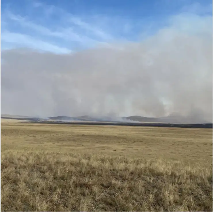 Павлодар облысында дала өртеніп жатыр