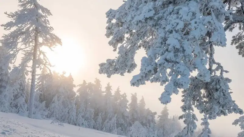 Қаңтар айында ауа-райы қандай болады?
